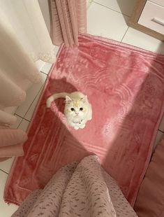 a cat laying on top of a pink blanket next to a person's feet