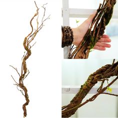 PRICES MAY VARY. 【Feature】This is A real looking and light weight tree branches/vine. It got barky texture on surface and rubbery foam material makes it authentic look and real touch. 【Specification】Whole length is 170cm /66.9 inches, comes one main trunk with many small branches. The diameter of main trunk is about 4cm/1.57 inches. There is iron wire all over the tree vine so that to be malleable and easy to bend. 【Material】Rubbery foam corver on surface and iron wire inside. Fake sphagnum moss attached on tree and silk fabric green shoot at the end of branches. Everything just comes out as natural and it can be. 【Abundant application scenes】This beautifully crafted Tree vine has versatility and ease of use. It can be apply to hang over front door, enwind onto the pillar, wrapping around Wall Hanging Plants, Vine Grape, Dried Tree Branches, Artificial Wall, Garland For Wedding, Cherry Blossom Branches, Outdoor Garland, Dry Tree, Fake Trees