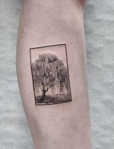 a black and white photo of a tree on the right thigh with a square frame around it