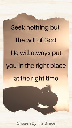 a hippo with the words seek nothing but the will of god he will always put you in the right place at the right time