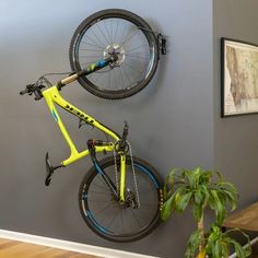 there is a bike hanging on the wall