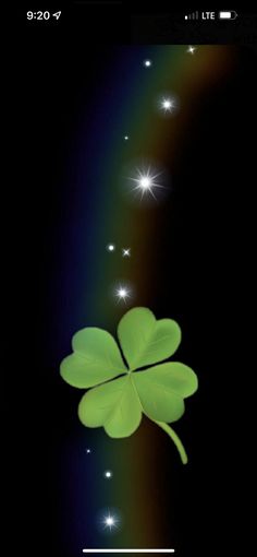 a green four leaf clover on a black background with stars in the sky above it