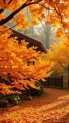 Mountain Man Clothing, Sunday Morning Quotes, Man Clothing, Muslimah Aesthetic, Mountain Man, Favorite Season, Fall Foliage, Sunday Morning