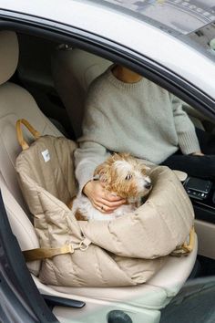 a woman sitting in the back seat of a car holding a small dog on her lap