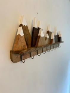 a wall mounted coat rack with five wooden mountains on each shelf and metal hooks hanging from it