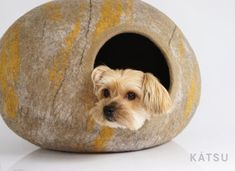 a small dog sitting in a cave made out of rock with his head sticking out