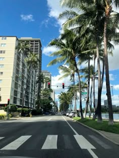 an empty street with palm trees and buildings in the background