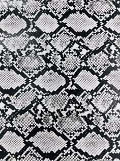 a black and white snake skin background