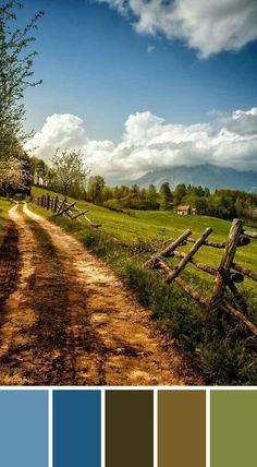 a dirt road that is surrounded by green grass and trees with blue sky in the background