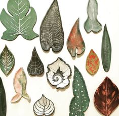 several different types of leaf shapes on a white surface