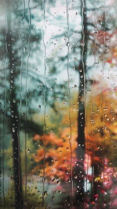 rain drops on the window glass with trees in the back ground and colorful foliage behind it