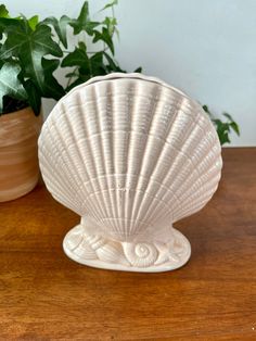 a shell shaped vase sitting on top of a wooden table next to a potted plant