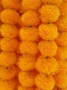 yellow pom - poms are arranged in rows