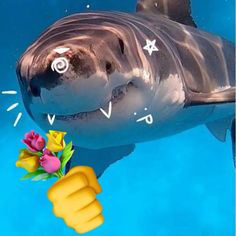 a hand holding a flower in front of a shark's face with numbers on it