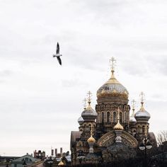 a bird flying in front of a large building with golden domes on it's sides