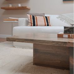 a living room with a couch, coffee table and shelves