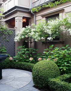 a garden with bushes and flowers in front of a house