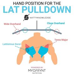 the diagram shows how to put on an upper body