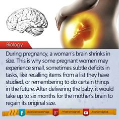 a woman's brain shrinks in size is shown with the caption below