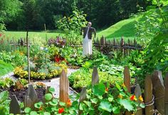 a garden filled with lots of different types of flowers and plants next to a wooden fence