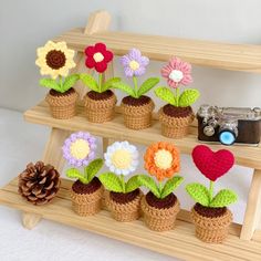 small crocheted flower pots on a wooden shelf with a camera in the background