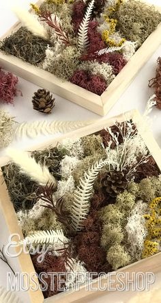 three wooden boxes filled with plants and pine cones