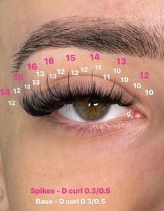 Tapered Lash Extensions, Eyelash Extensions Placement, Lash Extensions Styles For Glasses, C Lash Extensions, Eyelash Length Chart, Eyelash Extensions Styles Map, Eyelash Extension Inspiration, Lashes Extensions Numbers, Eyelash Extensions Styles With Numbers