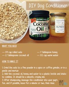 ingredients to make homemade coconut oil dog conditioner