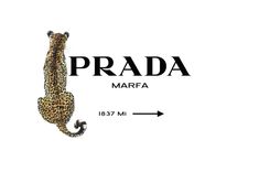 Marfa Prada, Prada Poster, Cheetah Wallpaper, Leopard Print Background, Prada Style, Wallpapers Ipad, Prada Marfa