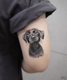 a black dog tattoo on the right inner arm and shoulder, with an orange eye