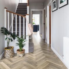 there is a potted plant on the floor in front of the stairs and door