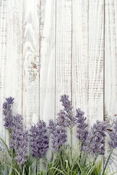 lavender flowers are growing in front of a white fence with the word sv on it