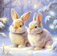 two rabbits sitting next to each other in front of snow covered trees with lights on them