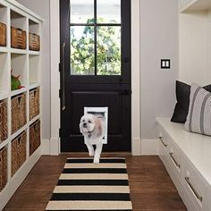 a dog is standing in front of a door with a sign on it's face