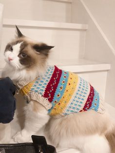 a cat is wearing a sweater and boots