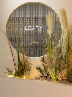 there is a sign that says leafy in front of some grass and plants on the wall