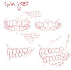 three different types of teeth drawn in red marker on white paper with the words teeth written below them