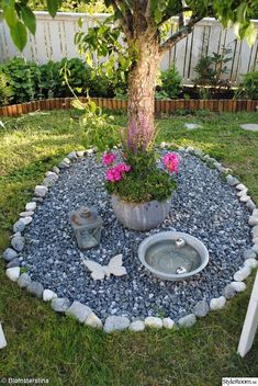 a potted tree sitting in the middle of a graveled area with rocks around it