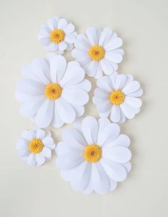 white paper flowers with yellow centers on a light colored background, arranged in the shape of daisies