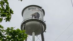 a water tower with an elephant on it's side