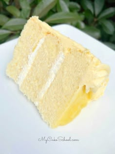 a piece of cake sitting on top of a white plate next to a green bush