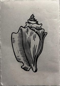 a black and white drawing of a sea shell