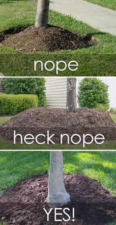 a tree that has been turned into a pile of mulch with the words nope, neck nope and yes