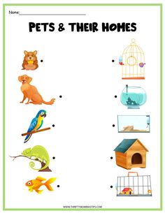 the worksheet for pets and their homes