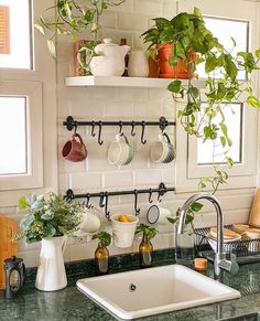 a kitchen sink sitting under a window next to a potted plant on top of a counter