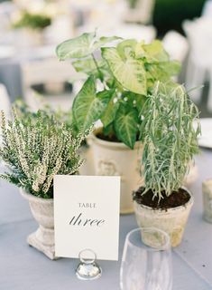 there is a table setting with plants and wine glasses on the table, along with a place card