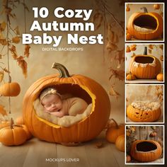 a baby in a pumpkin shaped nest surrounded by pumpkins with the words, 10 cozy autumn baby nest digital backgrounds