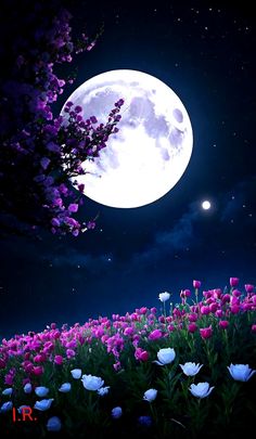 the full moon shines brightly in the night sky above flowers and trees on a hill