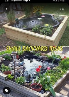 small backyard garden with fish pond in the center and flowers growing out of the bottom