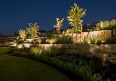 an outdoor garden at night with lights on and plants growing along the side of it